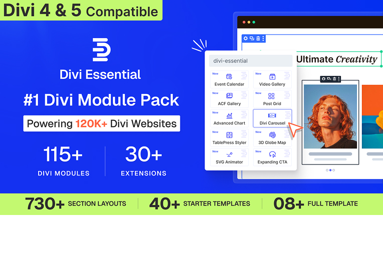 Divi Essential plugin product interface overview